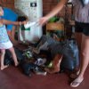 Misiones2
